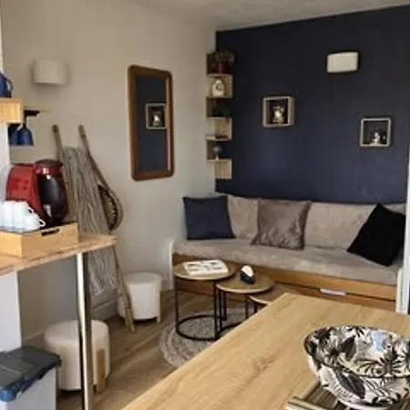 Apartmán Bord De Avec Parking Et Piscine - Confort Et Commodite - Fr-1-801-4 Agde